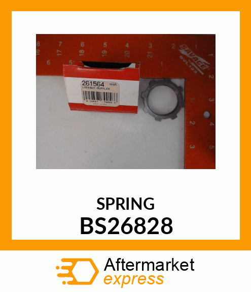 SPRING BS26828