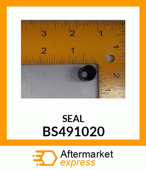 SEAL BS491020