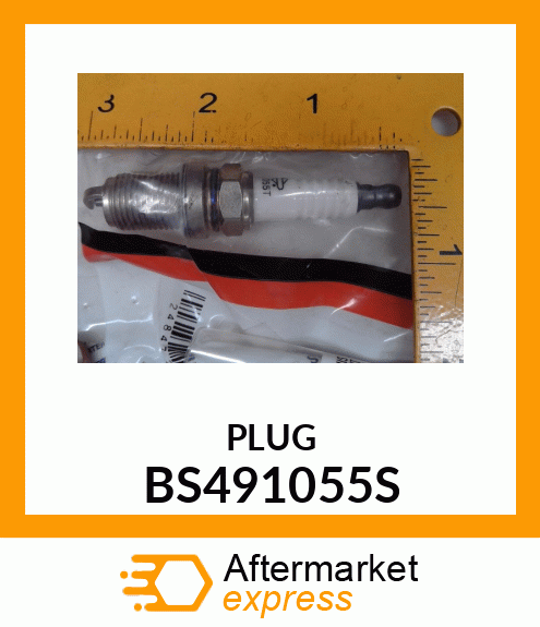 PLUG BS491055S