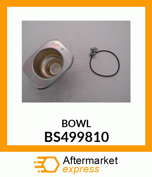 BOWL BS499810