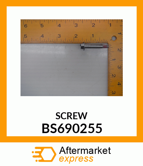 SCREW BS690255