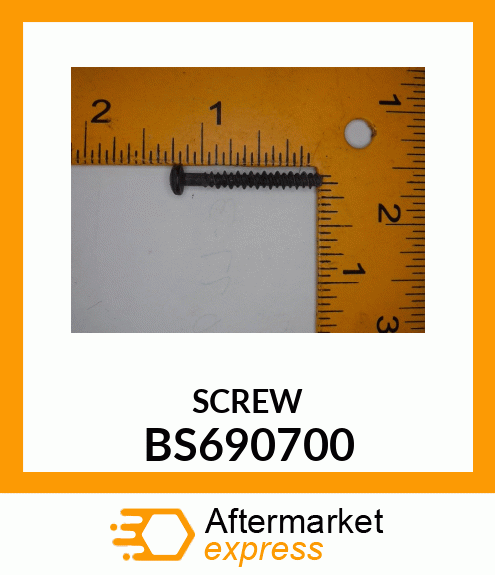 SCREW BS690700