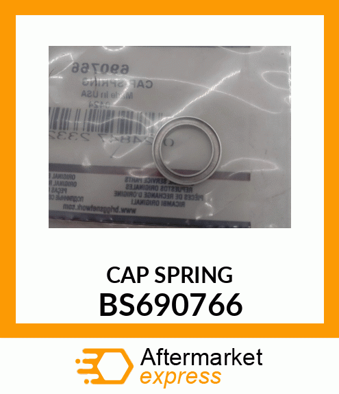 CAP_SPRING BS690766