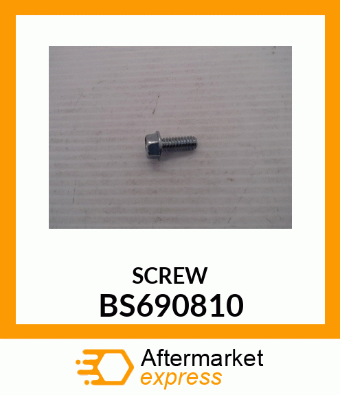 SCREW BS690810