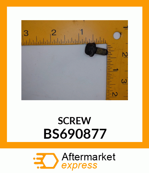 SCREW BS690877