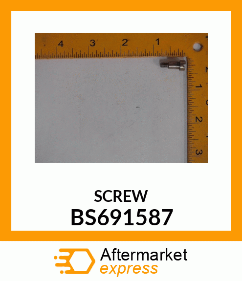 SCREW BS691587