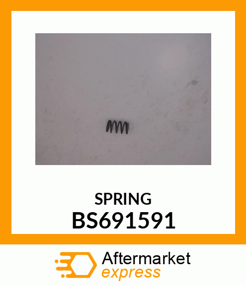 SPRING BS691591