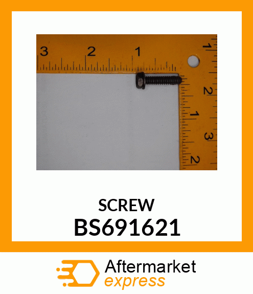 SCREW BS691621