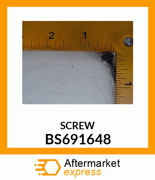 SCREW BS691648