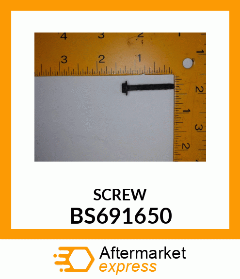 SCREW BS691650