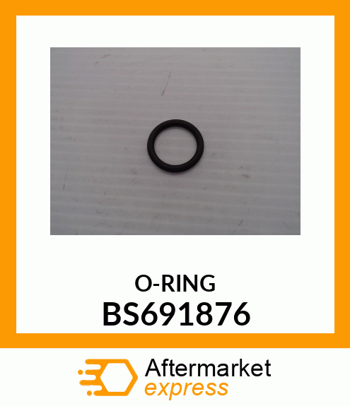 O-RING BS691876