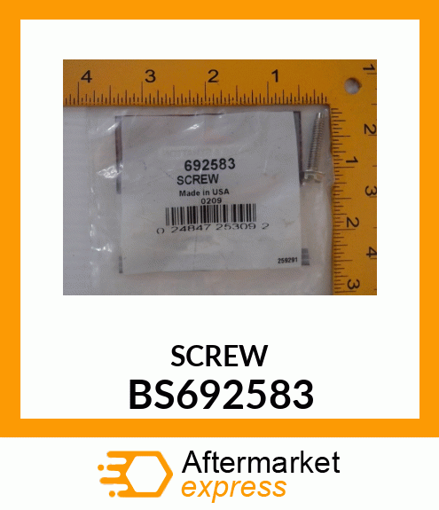 SCREW BS692583