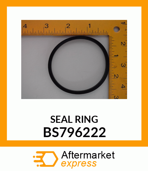 SEAL_RING BS796222