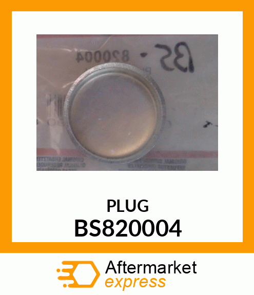 PLUG BS820004