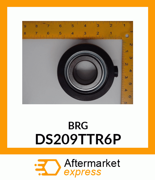 BRG DS209TTR6P