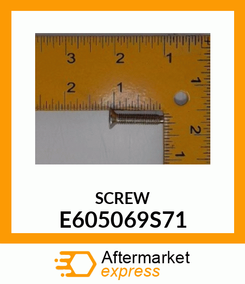 SCREW E605069S71