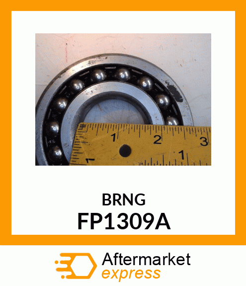 BRNG FP1309A