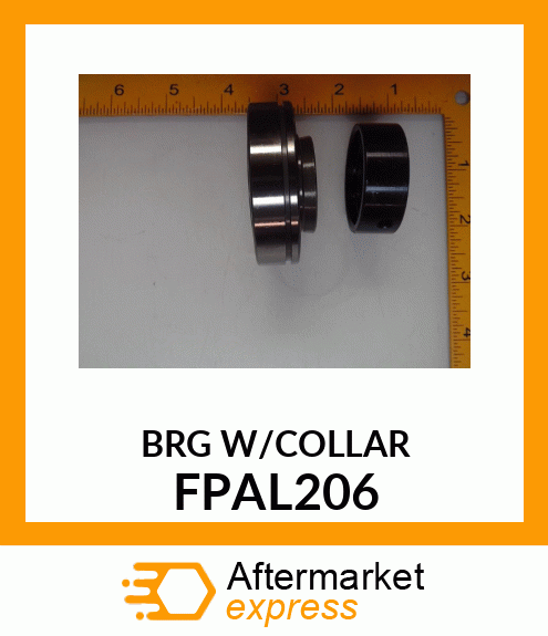 BRG W/COLLAR FPAL206