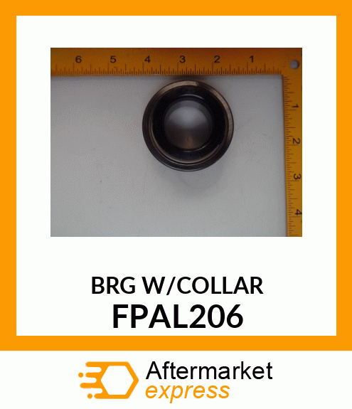 BRG W/COLLAR FPAL206