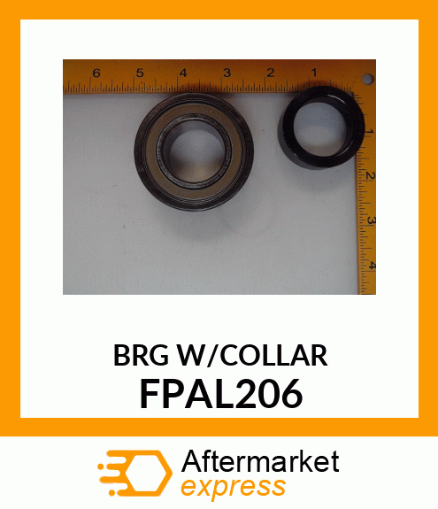 BRG W/COLLAR FPAL206