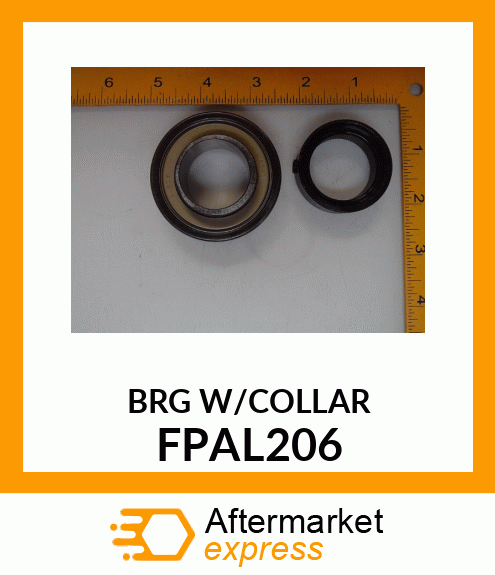 BRG W/COLLAR FPAL206