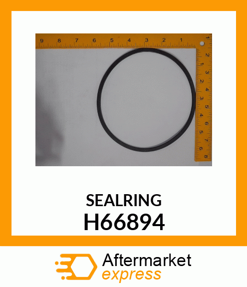 SEALRING H66894