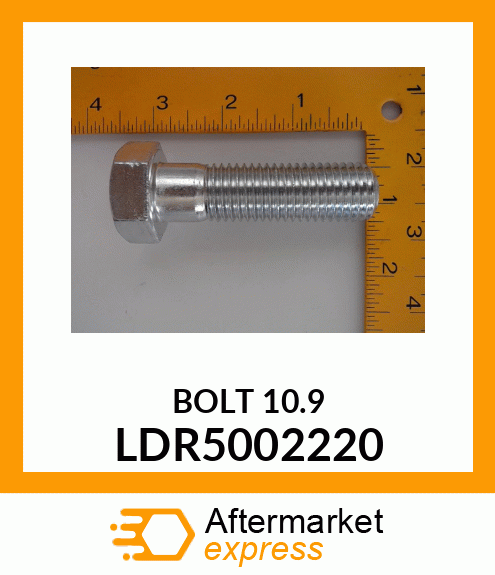 BOLT10.9 LDR5002220