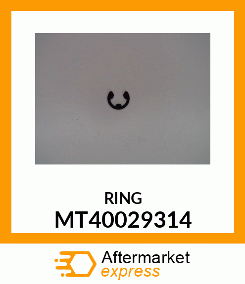 RINGN MT40029314