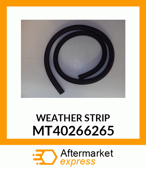 WEATHER_STRIP MT40266265