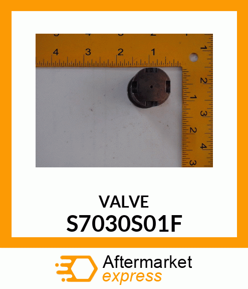 VALVE S7030S01F