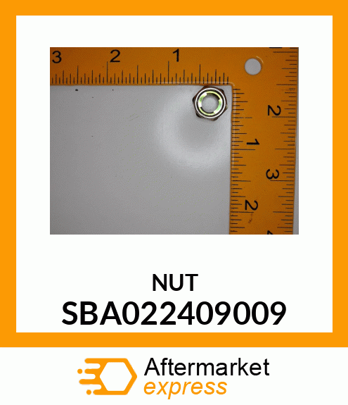 NUT SBA022409009