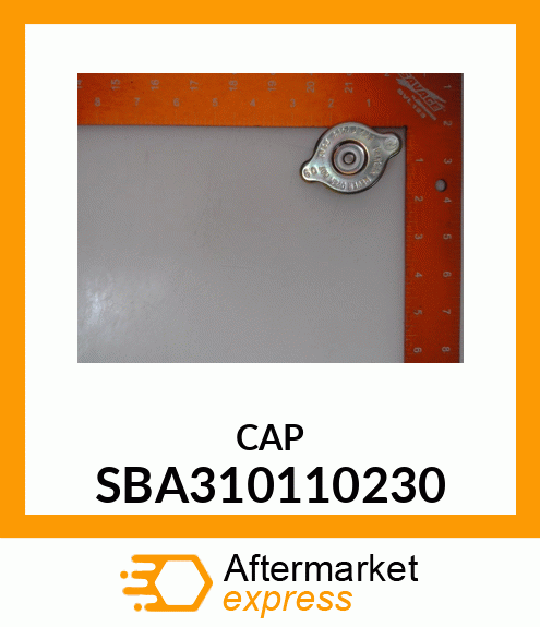 CAP SBA310110230