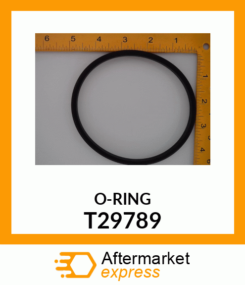 O-RING T29789