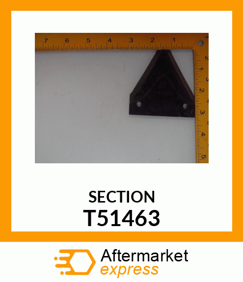 SECTION T51463