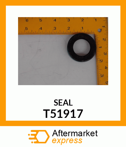 SEAL T51917