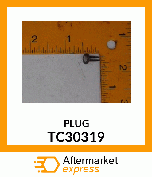 PLUG TC30319