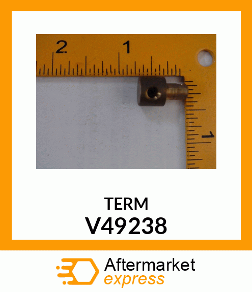 TERM V49238