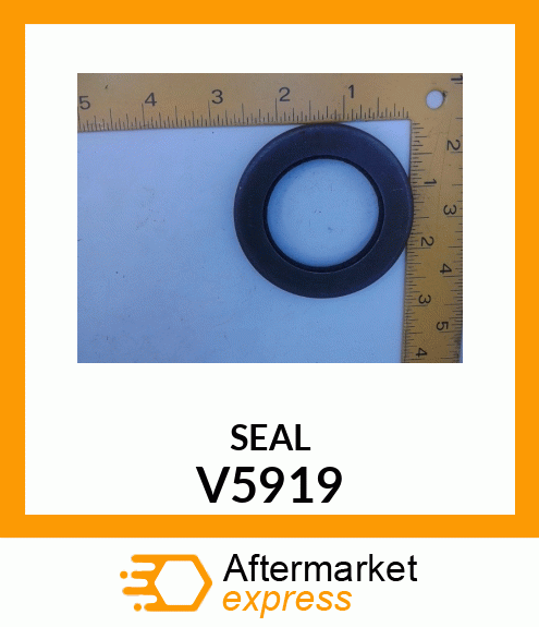 SEAL V5919