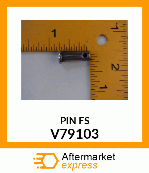 PINFS V79103