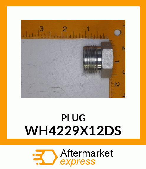 PLUG WH4229X12DS