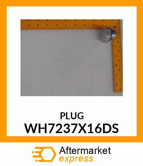 PLUG WH7237X16DS