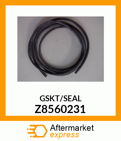 GASKET Z8560231