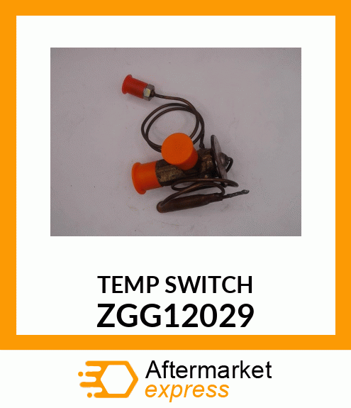 TEMPSWITCH ZGG12029