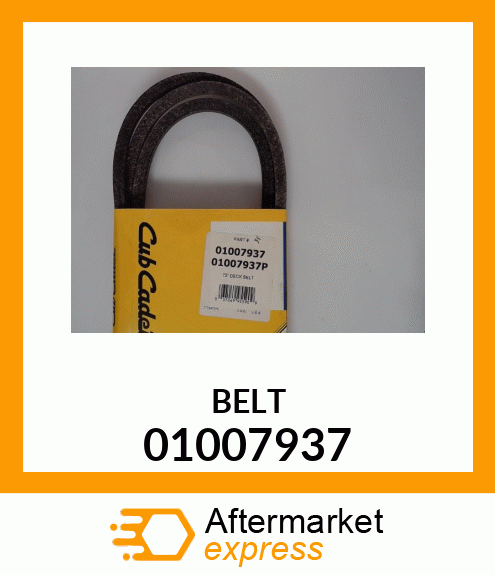 BELT 01007937