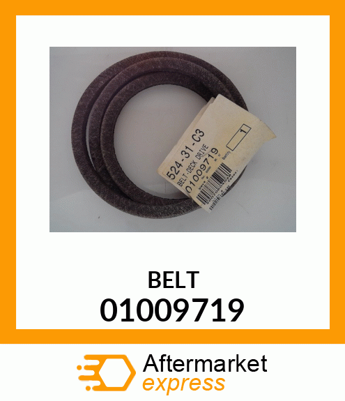 BELT 01009719