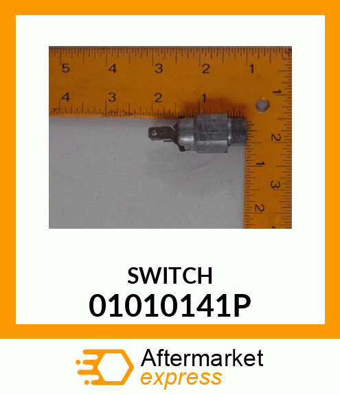 SWITCH 01010141P