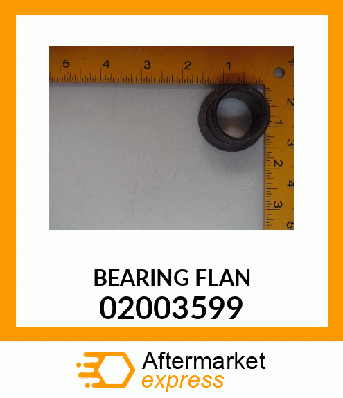 BEARING FLAN 02003599