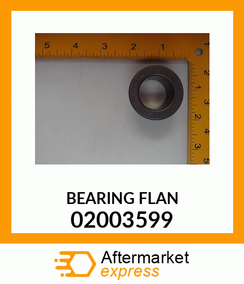 BEARING FLAN 02003599