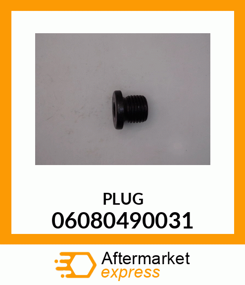 PLUG 06080490031