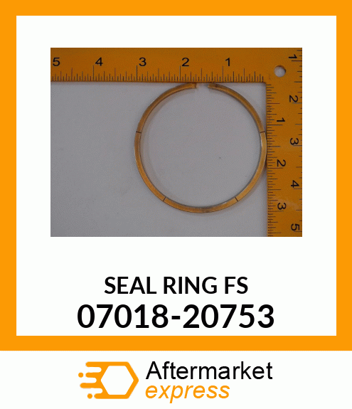 SEAL RING FS 07018-20753